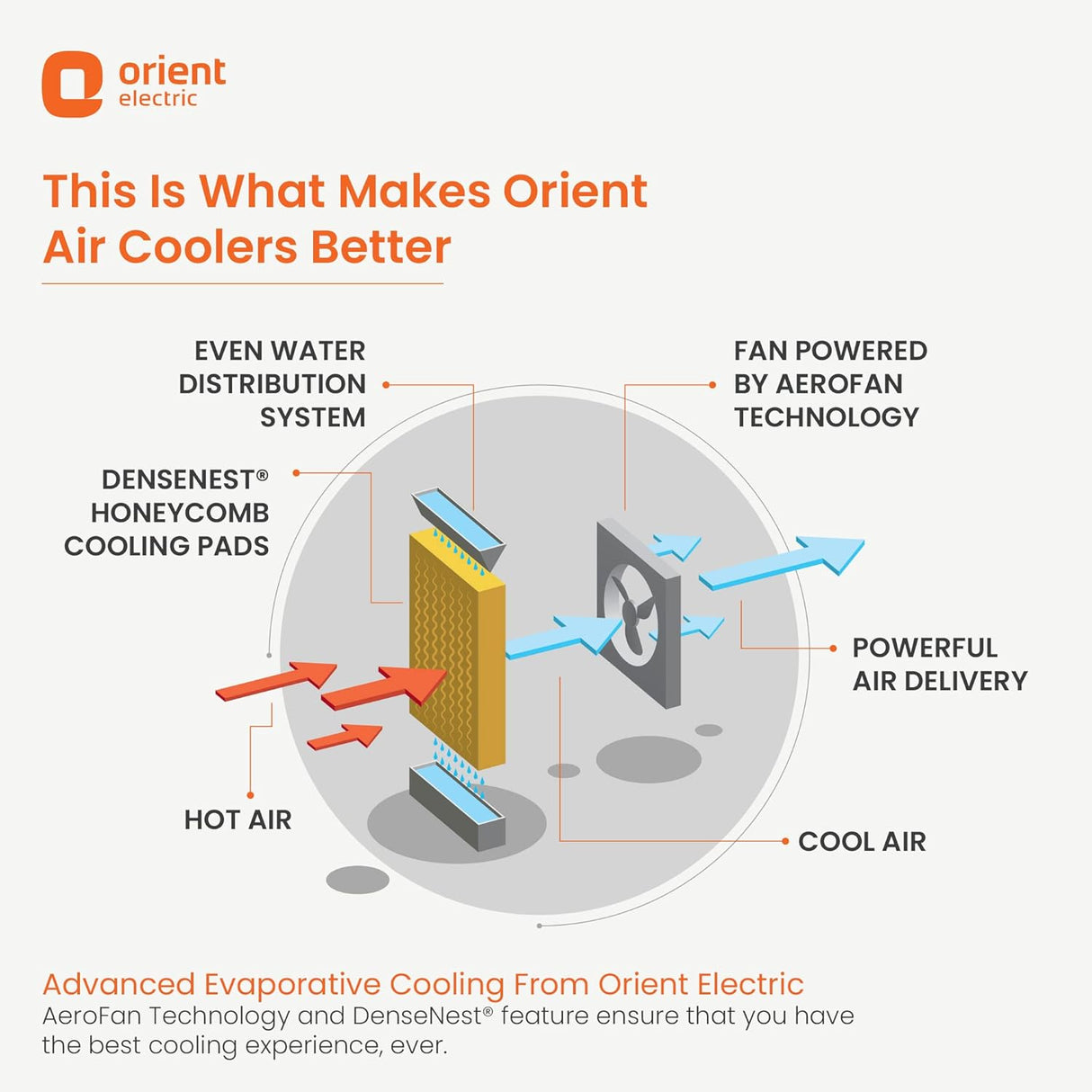 Orient Electric Knight 70L Desert Air Cooler with Densenest Honeycomb pads, Ice chamber, Dust Filter (Grey)