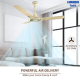This RR Signature Jaipur Tamra ceiling fan has a powerful air delivery which makes your home breezy and cool 