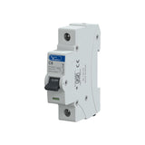 Lauritz Knudsen Tripper 6A Single Pole C Curve MCB