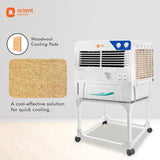 Orient Electric air cooler with woodwool cooling pads on a white background