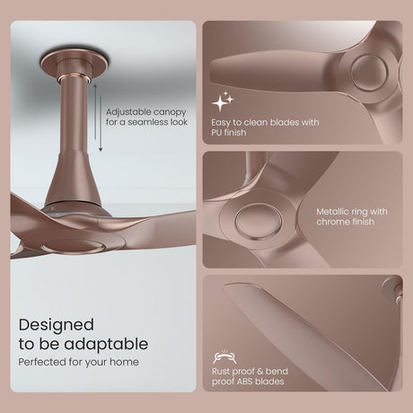 Ceiling fan with features highlighted on a beige background