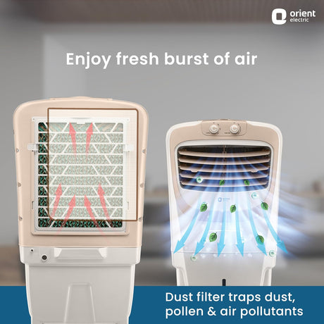 This cooler has dust filter which traps dust , pollen and air pollutants . 
