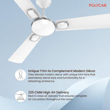 Ceiling fan with Polycab branding on a light blue background