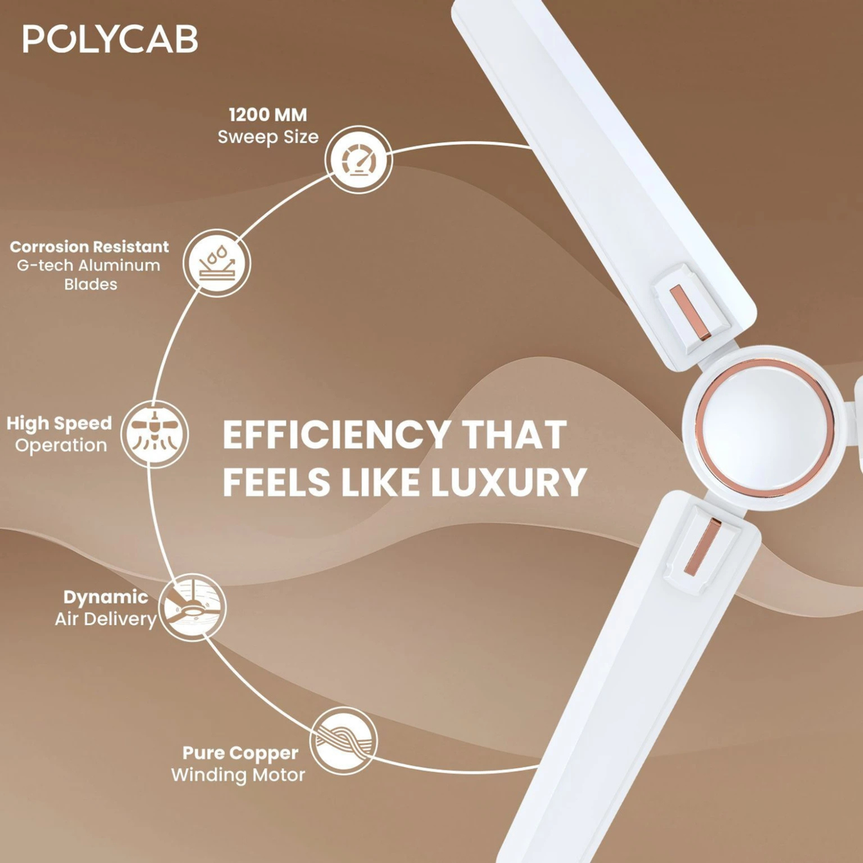 Fan with features highlighted on a brown background, branded as Polycab.
