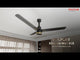 Polycab Silencio Mini DLX 1200mm 5-Star Advanced BLDC Ceiling fan 【Black Gold Dziner】