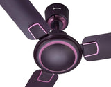 Bajaj Regal Gold NXG 1200mm Decorative Ceiling Fan (Matte Wine Red)