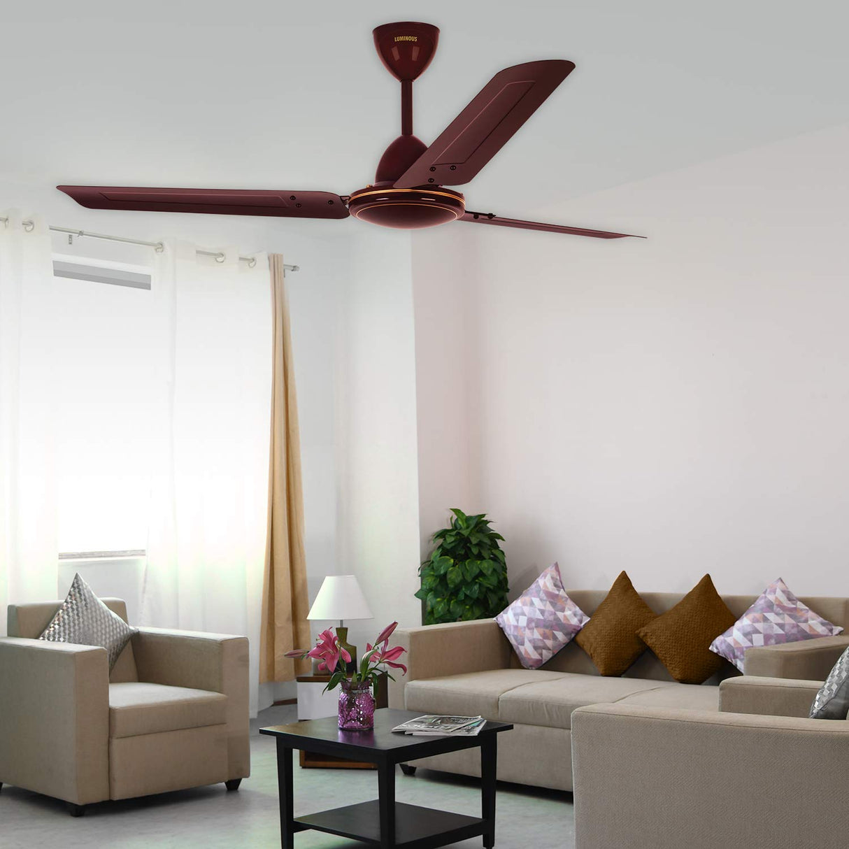 RR Signature Star 45 1200mm Ceiling fan (Brown)