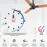 Polycab Wizzy Neo 1200mm 5-Star BLDC Ceiling fan | Natural Wood