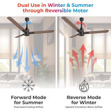 Polycab Wizzy Neo 1200mm 5-Star BLDC Ceiling fan | Matt Brown Copper